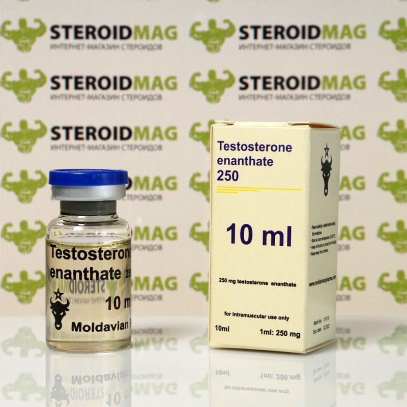 Тестостерон Энантат Молдавиан Фарма 10 мл - Testosteron Enanthate Moldavian Pharma
